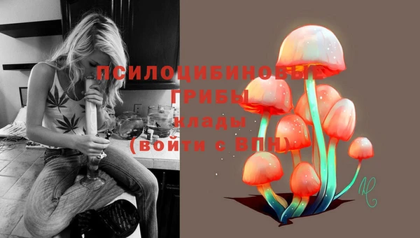 spice Волгодонск