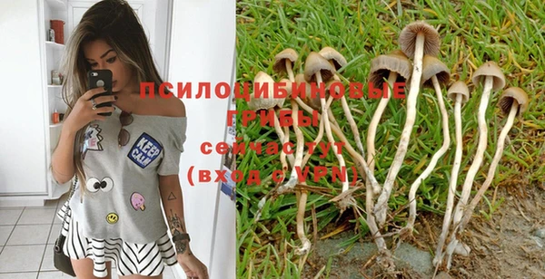 spice Волгодонск